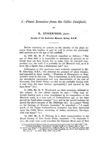 Plant remains from the Collie Coalfield