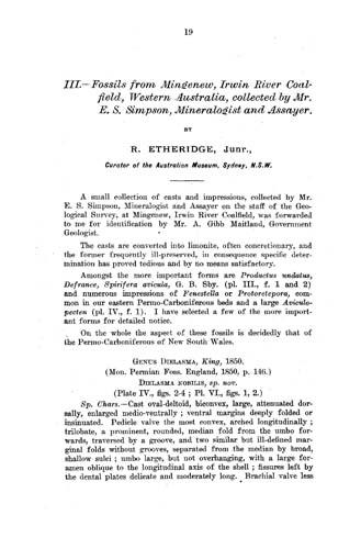 Fossils from Mingenew, Irwin River Coalfield