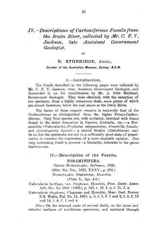 Descriptions of Carboniferous fossils from the Irwin River
