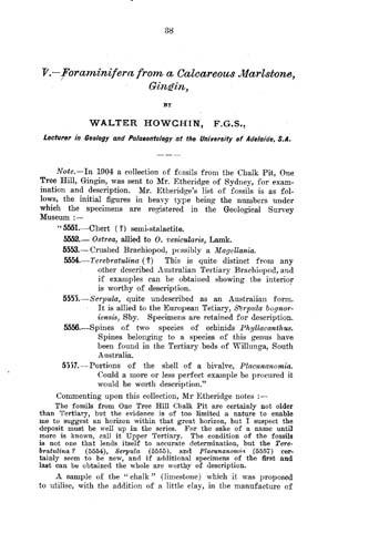 Foraminifera from a calcareous marlstone, Gingin 